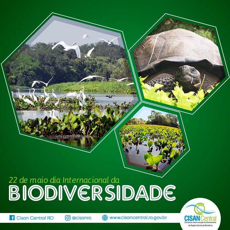 Dia Mundial da Biodiversidade (22/05)